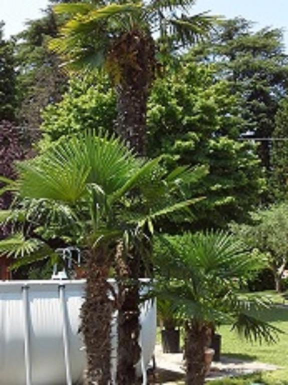 Relais Villa Lezard Lazise Quarto foto
